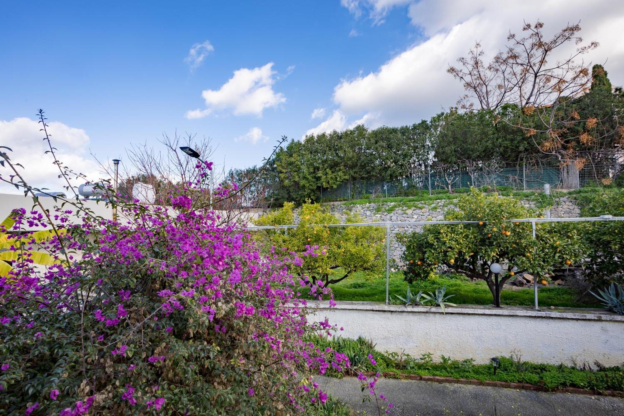 Rose Of Crete Aparthotel Platanias  Luaran gambar