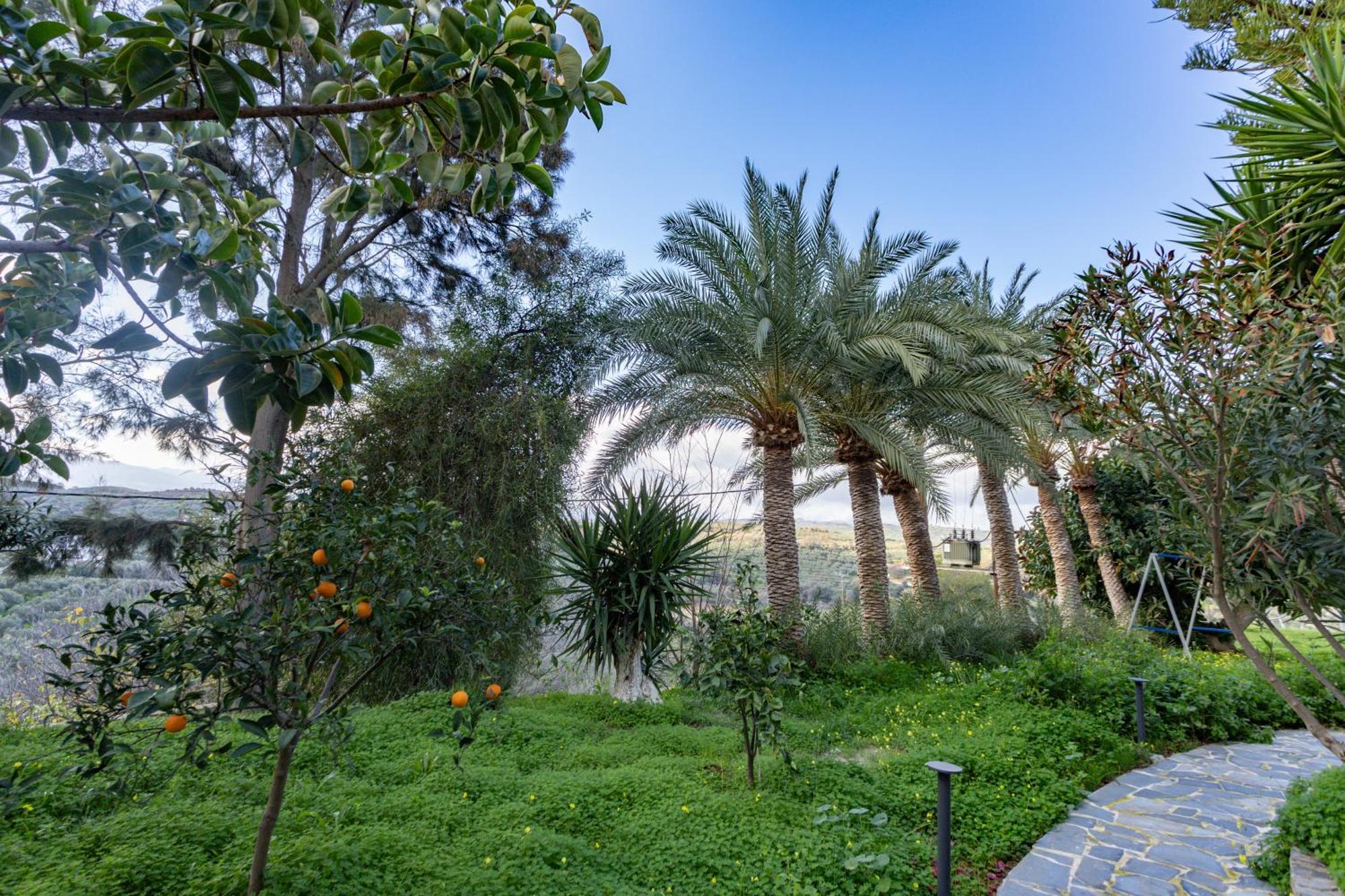Rose Of Crete Aparthotel Platanias  Luaran gambar